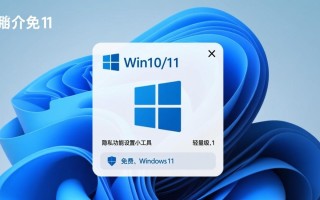 Win10/11隐私功能设置小工具2025最新版在哪下载安全吗？