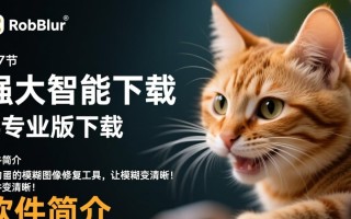 Robust Motion Deblur专业版和电脑版下载安装有什么区别？