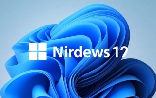 Windows11调试卡顿怎么办？三招教你快速解决！