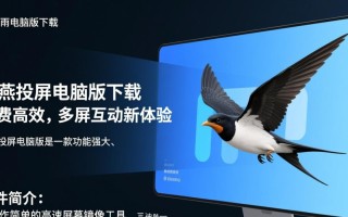 雨燕投屏电脑版哪里下载？最新版安全吗？