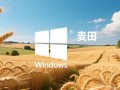 Windows墙面图麦田主题软件下载
