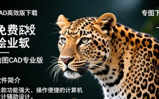 豹图CAD专业版免费下载安全吗？有没有官方授权渠道？