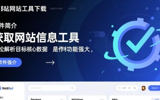 哪里能下载到安全可靠的获取网站信息工具最新版？