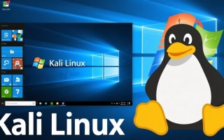 如何在Kali系统中正确运行和打开Windows应用程序？