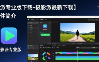 极影派专业版最新下载安全吗？有官方正版渠道吗？