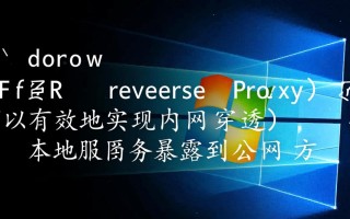 Windows上使用frp，内网穿透如何配置？