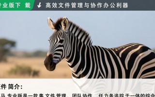 斑马专业版下载后安装失败怎么办？