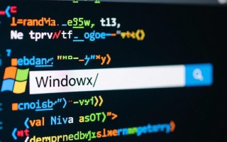 windows通配符与含义