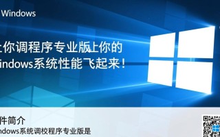 Windows系统调校程序最新版专业版下载哪个渠道更安全？