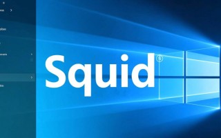 squid反向代理+windows