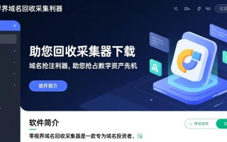 零视界域名回收采集器最新版下载安全吗？