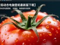 番茄动态电脑壁纸最新版下载去哪里找？