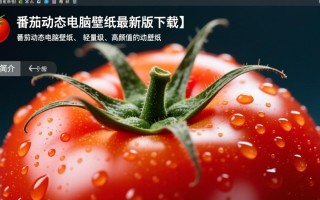 番茄动态电脑壁纸最新版下载去哪里找？