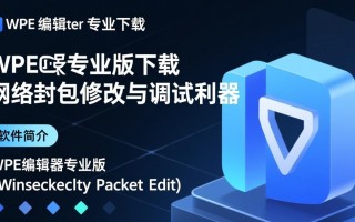 WPE编辑器专业版下载安装步骤是怎样的？