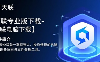 天联专业版电脑软件下载