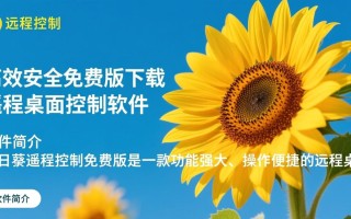 向日葵远程控制免费版下载