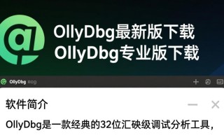 OllyDbg最新版下载去哪里找？专业版下载教程有吗？
