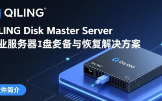 QILING Disk Master Server最新版下载