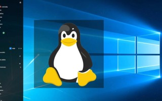 如何在Windows系统里成功下载并运行Linux系统？