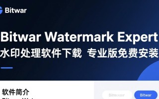 Bitwar Watermark Expert专业版下载安装后如何去除图片水印？