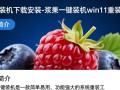 浆果一键装机下载，Win11重装工具快速安装