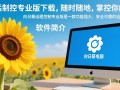 向日葵远程控制专业版电脑下载