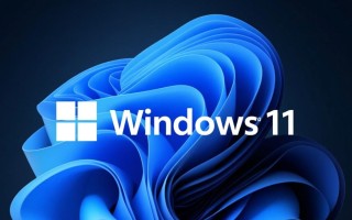 Windows 11软件管理怎么用？卸载残留、阻止自启动技巧有哪些？