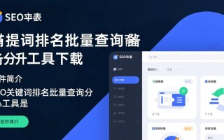 SEO关键词排名批量查询分析工具最新版下载哪里找？