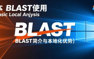 windows本地blast使用