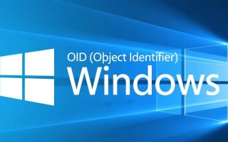 Windows OID是什么？有什么实际用途？