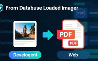 PHP如何从数据库高效加载图像与PDF文件？