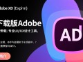 Adobe XD电脑版下载安装后，专业版功能怎么用？