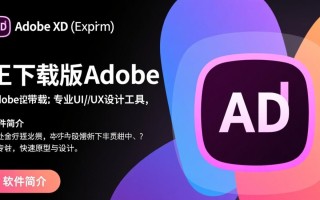 Adobe XD电脑版下载安装后，专业版功能怎么用？