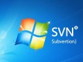 Windows SVN不显示文件怎么办？解决方法有哪些？
