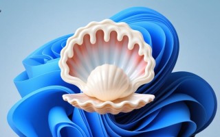 Shell Frosting win11任务栏合并设置怎么下载？最新版安装教程有吗？