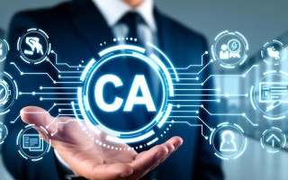 Windows Server CA搭建后如何管理证书与解决常见问题？