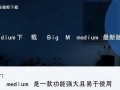 Big Medium最新版下载在哪里？安全可靠的下载渠道找得到吗？