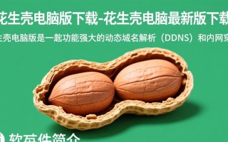 花生壳电脑版最新版下载在哪里找？安全吗？