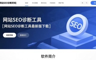网站芬克斯SEO诊断工具最新版下载，真的能一键解决网站所有问题吗？