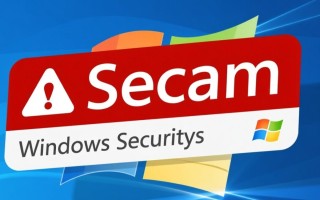 如何详细查看Windows安全警报的具体内容和来源？