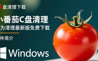 小番茄C盘清理最新版下载安装步骤是怎样的？