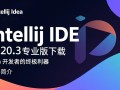 IntelliJ IDEA 2020专业版下载安装