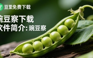 豌豆荚下载安全吗？免费下载豌豆荚有风险吗？