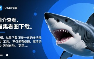 鲨鱼看图最新版下载在哪里？安全吗？好用吗？