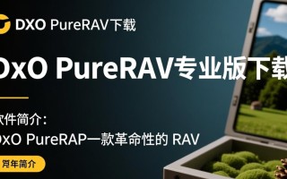 DxO PureRAW专业版下载后如何有效提升RAW照片画质？