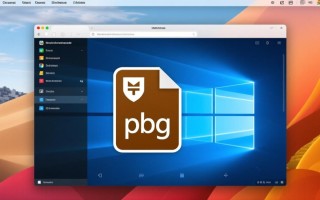 Windows系统如何正确打开pkg文件？