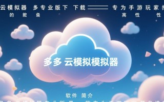 多多云模拟器专业版电脑下载哪里安全可靠？