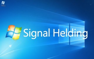 windows c捕获信号