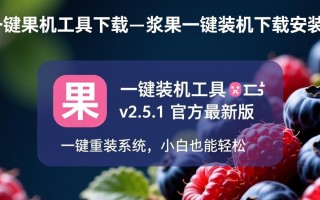 浆果一键装机工具下载可靠吗？安全安装教程有吗？