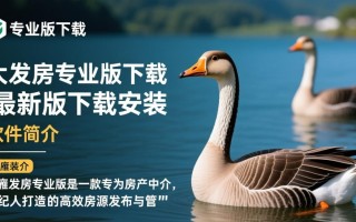 大雁发房专业版下载安装最新版